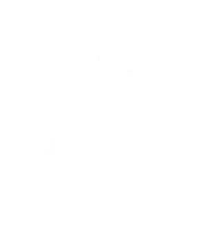 Terran